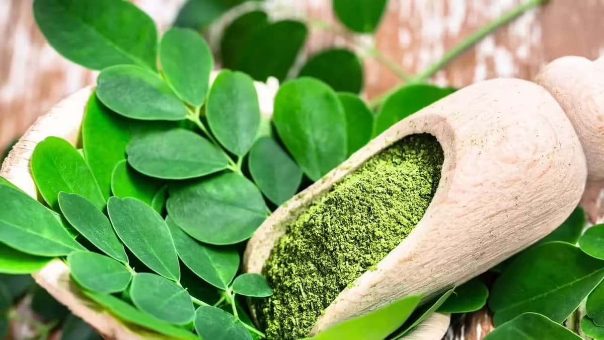 Dehydrated herbs (moringa powder)