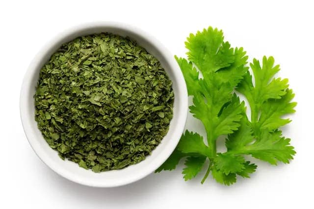 Dried Coriander Leaves: Essential Herb for Global Food and Spice Export