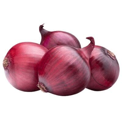 Fresh Red Onions for International Export Supply