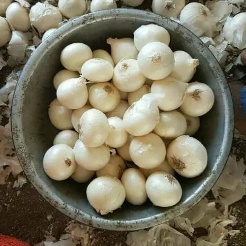 Premium Fresh White and Red Onion Bulk Export Bundle Grade A