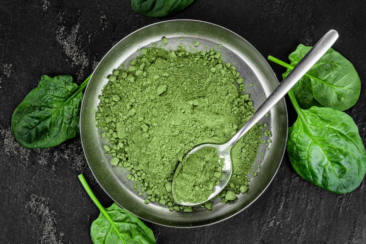 Dehydrated Spinach powder