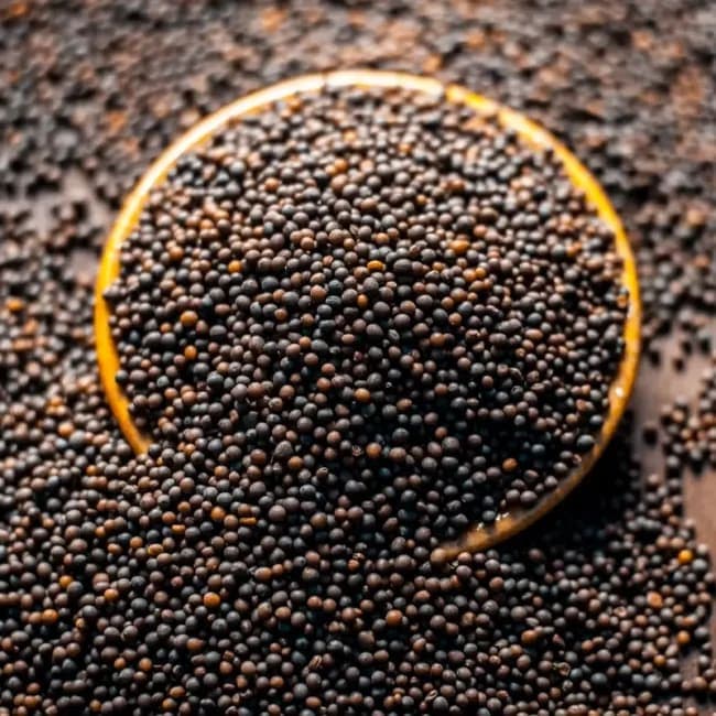 Black Fenugreek Seeds